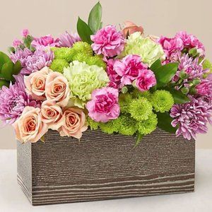 NEW ITEMS ADDED For You!
